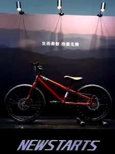 Kids Bicycle 14"-24" Inch | Free Delivery SG | Ready To Ride | Free Accessories | Warranty
