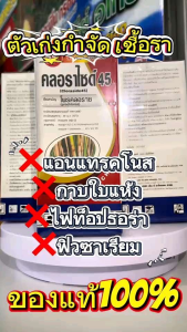 โพรคลอราซ45 คลอนาไซด์ ขนาด1ลิตร สารป้องกันกำจัดเชื้อราโรคพืช ท็อป ฟิวซาเรียม แอนแทรคโนส
