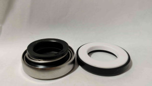 Mechanical seal 30mm shs B54xs57x10 | Shaft seal for water pump