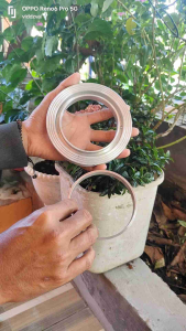 Ring Cupsealer 12oz & 14oz & 16oz & 18oz & 22oz: Alat Kemasan Untuk Industri Makanan