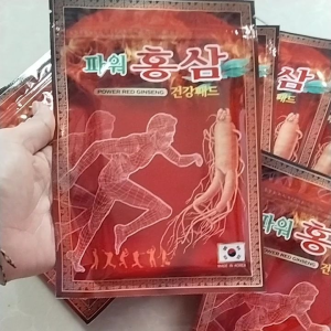 DÁN SÂM NGƯỜI CHẠY HÀN QUỐC TÚI 20 MIẾNG