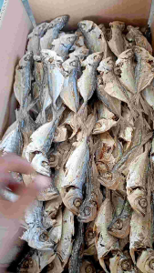 Ikan SELAR REBUS Gurih Renyah Garing