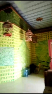 Dorfit: Penggacor & Suplemen Perkutut Ombiyokan