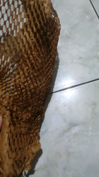 Buyer review video 6