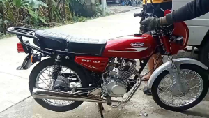 PNOY MOTOPOSH 125/155/175 Chicken PIPE STainless