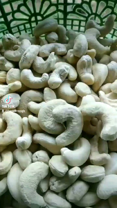 grosir kacang mete mentah 500g