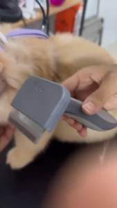 (HCM) Lược chải lông siêu cấp dành cho mèo T9 - Bán chạy