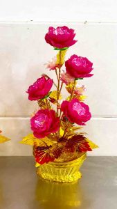 Cây kim tiền- Chậu hoa để bàn thờ cao 40-45cm