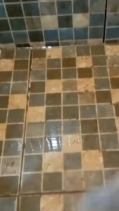 SONIC Toilet Cleaner Cairan Gratis Kuas dan Sarung Tangan Pembersih Noda Keramik Kamar Mandi WC Kloset Stainles Syower Kran Pembersih Kerak Noda Membandel Kemasan 1 Liter