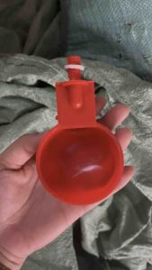 10c máng uống nước tự động ( hàng thái loại 1)