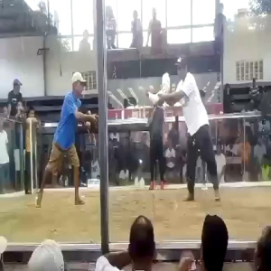 Nux Vomica Drops Pointing Oral Solution For Gamefowl Fighting Chicken