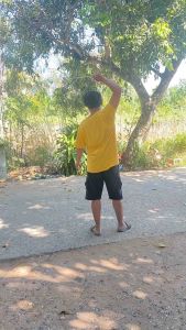 ใบสนูว่าว ใบพลาสติก 12 มิล