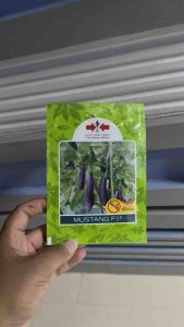 Benih Terong Ungu MUSTANG F1 isi 1.100biji - Cap Panah Merah