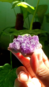 JD026 อเมทิสต์ | Amethyst Cluster 💜 #cluster ผลึกอเมทิสต์ หินสีม่วง น้ำหนัก 33.9 กรัม