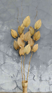 Daun Palem stik ulir isi 5pcs Homedecor