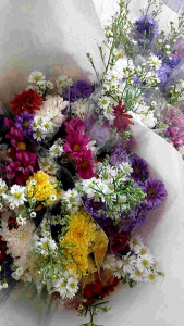 Buket Bunga Mini Harga 15K – Hadiah Simple & Manis