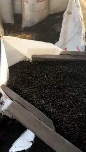 10kg-than gáo  dừa 🌴 lọc nước- than cao cấp khử  phèn khử độc (kích thước 4mm-8mm)làm trong nước khử mùi hiệu quả