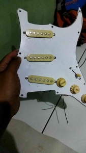 Pickguard strstocaster set