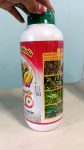 สาหร่าย (แอสโค่) สูตรเข้มข้น 1 ลิตร เปิดตาดอก บำรุงดอก ขั้วเหนียว ดอกดก บำรุงผล #แอลเจอะโกร