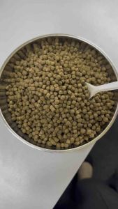 {1kg} Fish Feed 558 / Makanan Ikan Air Tawar (3-5mm)