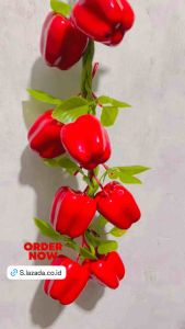 Buah Renceng Paprika Merah Hiasan Dapur Buah Artificial