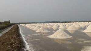 ดอกเกลือแท้ 5 กิโล 130 ออแกนิค ธรรมชาติ - 5 กิโล 130 ออแกนิค ธรรมชาติ