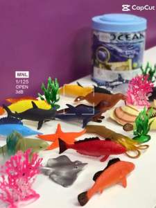 Exploring The Ocean World