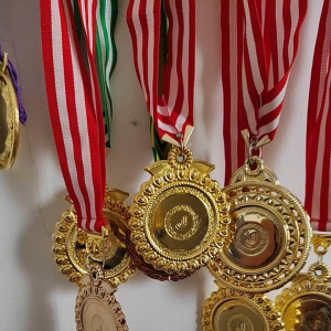 MEDALI SATUAN PLASTIK MEWAH BERAT SEPERTI LOGAM