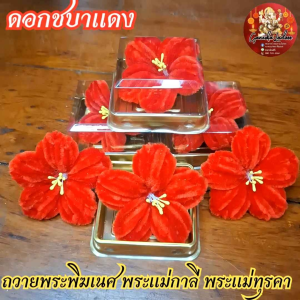 ดอกชบาแดง ดอกไม้บูชาเทพ ถวายพระพิฆเนศ พระแม่กาลี พระแม่ทุรคา