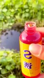 Obral Promo Essen Ikan Super China Pancing Aroma Gurih & Amis Untuk Indukan Babon/ Ikan mas Bandeng Baramundi Lele beranak tombro patin dll