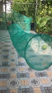 Dớn đặc cá dớn đặc téptômlươnrắn...mắt lưới 3li/4litổng chiều dài ~ 5m(Dớn ~3m + Cánh mỗi bên 2m)