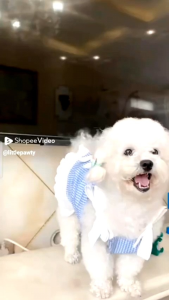 Littlepawty - Ribbon Plaid Dress | Baju Anjing Kucing Gaun Princess Pita Checkered Blue Anabul Premium Dog Cat