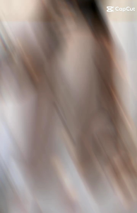 TM 32200 Blazer Casadova casual import