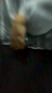 CS Outer Tile Brokat mix Organza Full Payet// Outer Brukat Kondangan Wisudaan