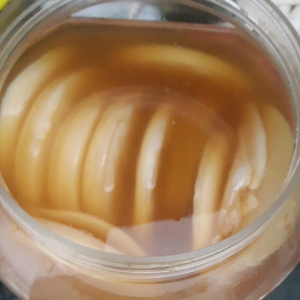 scoby kombucha( combo gồm: hủ 2L nắp gài 1 scoby kèm nc mồi 15gr trà 150gr đường 1 kẹp gắp 1 muỗng gỗ +khăn