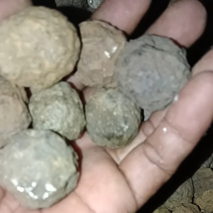 batu bahan mentah perkilo