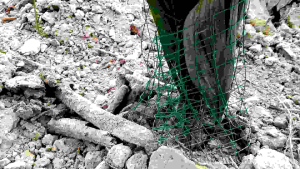 ตะแกรงลวดชุบพีวีซี กันหนู30*70ซม. หุ้มโคนต้นกล้าปาล์มน้ำมันอย่างดี