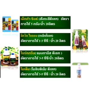 ปุ๋ย ปุ๋ยกิฟฟารีน ปุ๋ยทางใบ ปุ๋ยน้ำ ฮอร์โมนทางใบ โมเด็ม giffarine ไนโตรเจน พืช เถาเลื้อย สร้างปมรากถั่ว ขยายยอด ขยายผล ละลายน้ำง่าย ไม่อุดตันหัวฉีด เพิ่มผลผลิตไว ของแท้ พิ่มดอก ออกผลเร็ว ดก ผลผลิตสูง