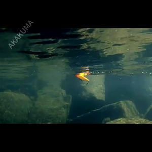 wtd pensil lure 65cm 6gr