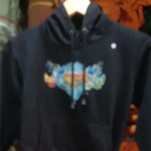 Hoodie anak Usia 2 3 4 5 6 7 8 9 10 11 12 13 tahun Jaket sweater anak laki laki perempuan ML V5V