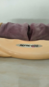 Máy massager thư giãn chân lòng bàn chân REFRE-EGG SR-05 hàng si Nhật