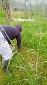 Pisau Untuk Merumput (Arit)