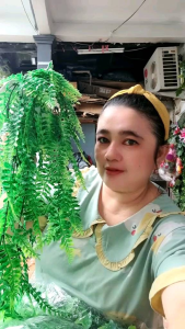 Artificial Daun Rambat Plastik Dengan Pot Dinding Plastik/Daun Plastik/Daun juntai Hias/Daun hijau Artificial/home dekorasi/Bunga Plastik/Daun Rambat /Hiasan Rumah - Lazada