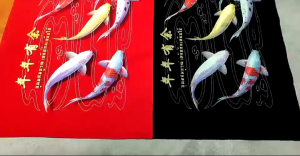 รูปปลาคาร์ฟ 9 ตัว ภาพมงคลพิมพ์ลงผ้ากำมะหยี่ ขนาด 34x76 cm เสริมมงคล ฮวงจุ้ย