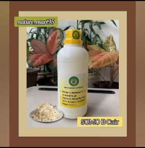 SUMO8 Cair B ( khusus Siram )( Peningkat Bobot Tauge & Pemutih organik tauge super )