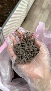 Phân hữu cơ minro 70OM hoa hồng gói 1kg