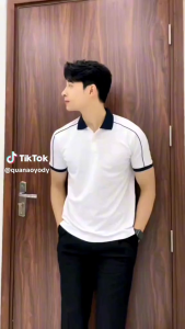 áo phông polo Nam phối cổ trắng chất poly cá sấu mềm mịn co giãn