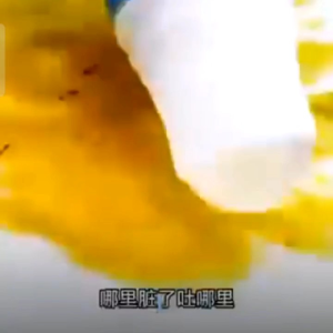 【Buy1Free1】Clothes Stain Remover Roller Ball 除顽渍滚珠液 (买一送一)顽固污渍难去除，就用这个#衣物去渍滚珠，一擦一涂就不见了，这也太方便了，赶紧安排吧#去渍滚珠 #污渍轻松去除 #好物分享 #好物推荐