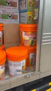 CHẠY TRÁI- LÊN CƠM 4-3-15+ TE XÔ 20kg Giúp lớn trái- cơm vàng- to trái đẹp trái....