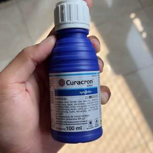 INSEKTISIDA CURACRON 500ec isi 100ML